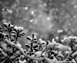 Image Credit: bandwmag.com