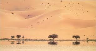 Credit - graphics.stanford.edu