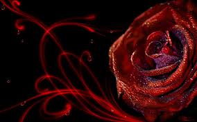 passion_rose