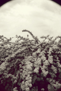 Photo By Oloriel