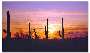Image: desertusa.com