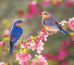 Image: prnewswire.com