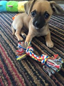 Our newest boy Oliver